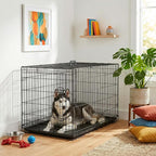FDW Dog Crate 42-Inch Dog Cage Single Door Foldable Metal Kennel with Leakproof Tray Foldable Design Indoor Outdoor Use for Large Dogs,Dark Black