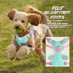 BARKBAY No Pull Dog Harness Front Clip Heavy Duty Reflective Easy Control Handle for Large Dog Walking(Cool Mint & Baby Pink,S)