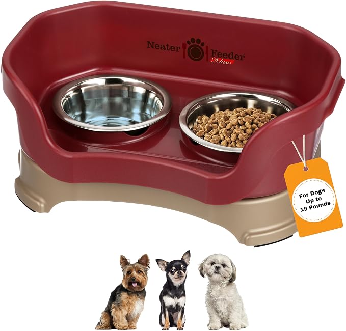 Neater Pet Brands Neater Feeder Deluxe Mess Proof Dog Bowls Elevated for Small Dogs Under 19 lbs, Made in USA, No Spill Raised Dog Food Bowl Stand Feeding Station, Food and Water Bowl Set, Cranberry