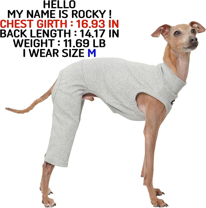 D Doggy Star Italian Greyhound Clothes High-Stretch Sleeveless Onesie for Styling (2XL,Coordi Grey)