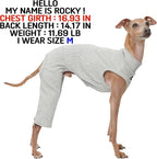 D Doggy Star Italian Greyhound Clothes High-Stretch Sleeveless Onesie for Styling (S,Coordi Grey)