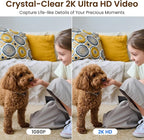 GALAYOU Dome Cameras Indoor for Home Security in 2K, G2 4Pack | Wi-Fi/Nanny Cam/Baby Monitor, with Phone APP, PTZ, Night Vision, Siren, Wired Plug, Two-Way Talk, 24/7 TF Card, Cloud Storage