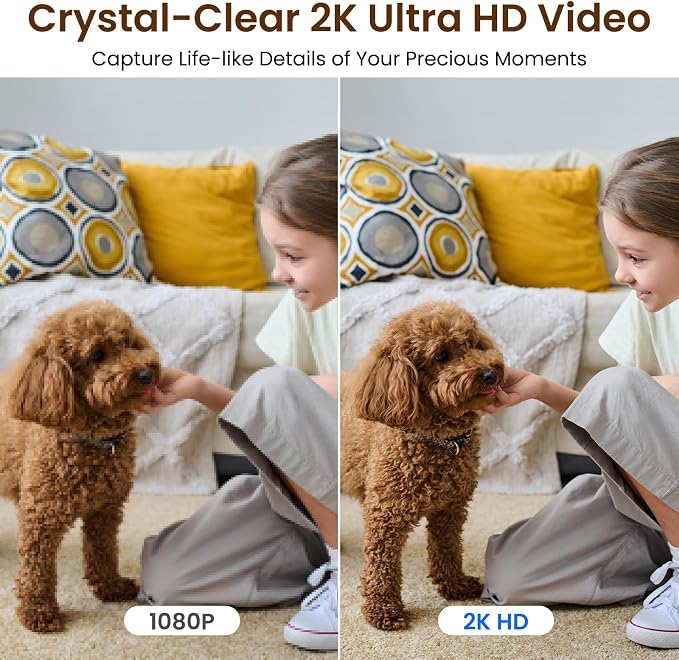GALAYOU Dome Cameras Indoor for Home Security in 2K, G2 4Pack | Wi-Fi/Nanny Cam/Baby Monitor, with Phone APP, PTZ, Night Vision, Siren, Wired Plug, Two-Way Talk, 24/7 TF Card, Cloud Storage