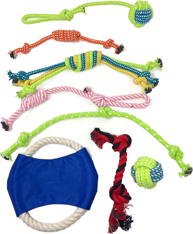 Jalousie Multipack Dog Squeaky Toys Bulk Bundle Pup Toy - Puppy Toys for Pets for Small Medium Breed (24 PCs Gift Basket)