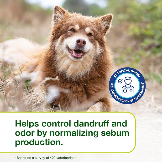 Douxo S3 SEB Dog Seboregulating Shampoo, 0.5% Ophytrium, 16.9 fl oz | Seborrhea Treatment for Dogs & Cats, Helps Control Dandruff, Unpleasant Odors & Oily/Flaky Skin, 0.5% Ophytrium, 16.9 fl oz
