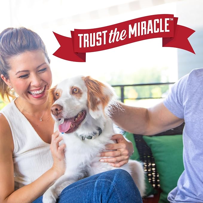 Nature's Miracle Oxy Set-In Stain Destroyer, Dog Odor Control, 24 oz