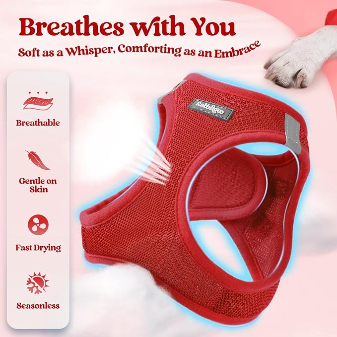 rabbitgoo Dog Harness Medium Sized and Leash Set, Step-in Puppy Pet Vest | Light, Soft, Breathable Air Mesh, Easy on and Remove with Hook & Loop, Secure Reflective for Walking, Red XXL