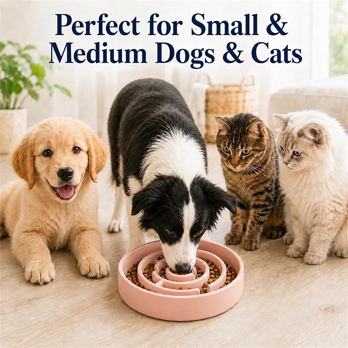 Ceramic Slow Feeder Dog Bowl 1.5 Cup Puzzle Dish for Small Medium Dogs | Glazed ceramic maze bowl with 1.5-cup capacity for dry or wet food, sized for small and medium dogs