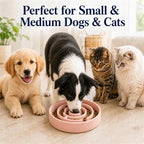 Ceramic Slow Feeder Dog Bowl 1.5 Cup Puzzle Dish for Small Medium Dogs | Glazed ceramic maze bowl with 1.5-cup capacity for dry or wet food, sized for small and medium dogs