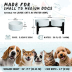Ceramic Elevated Dog Bowl Set - Dog Feeder Station with Cute-Style Double Bowls for Small and Medium Size Breed - Non-Slip Raised Dish for Food and Water Feeding- 6 Inch - 3.5 Cups / 20 fl oz - Blue