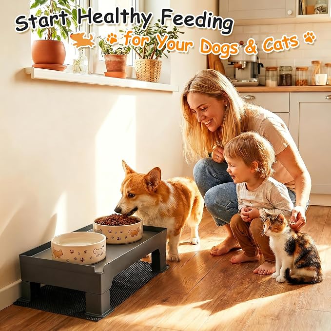 Elevated Dog Bowl Stand and Waterproof Non Slip Mat,1 Set,No Absorbent Pad | Reduce Neck, Joint and Spinal Strain, Sturdy Legs, Easy Clean Silicone Pet Food Mat, For Small & Medium Dogs, Cats