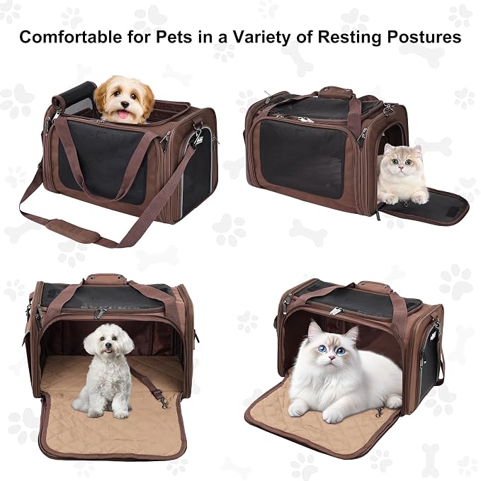 EliteField Deluxe Soft Pet Carrier for Cats and Dogs (3-Year Warranty) | Airline Approved, Waterproof Fabric, Scratch-Resistant Mesh, Expandable Mat, Built-In Leash, Suitcase Sleeve, Seat Belt Loops