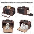 EliteField Deluxe Soft Pet Carrier for Cats and Dogs (3-Year Warranty) | Airline Approved, Waterproof Fabric, Scratch-Resistant Mesh, Expandable Mat, Built-In Leash, Suitcase Sleeve, Seat Belt Loops