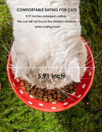 Mushroom Cat Bowl, Raised Ceramic Cat Food Dish for Whisker Fatigue, Forest Style Pet Water Bowl, Elevated Tilted Neck Protection Feeder for Indoor Cats & Small Dogs (Red & Black)