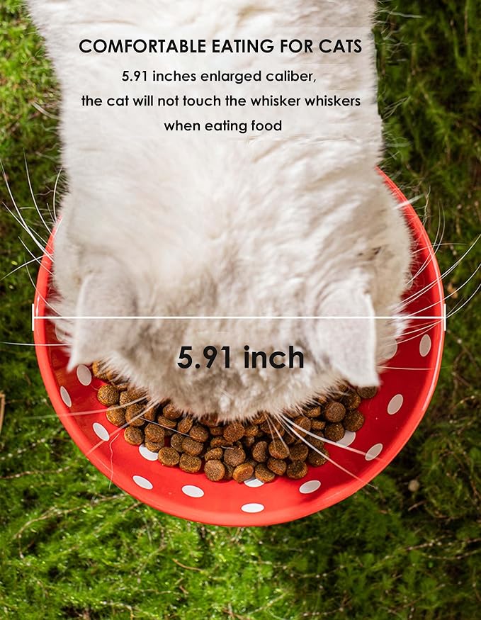 Mushroom Cat Bowl, Raised Ceramic Cat Food Dish for Whisker Fatigue, Forest Style Pet Water Bowl, Elevated Tilted Neck Protection Feeder for Indoor Cats & Small Dogs (Red & Black)