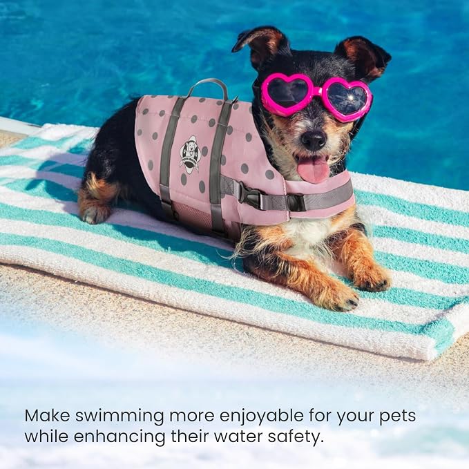 Dog Life Jacket — Premium Swim Vest with SafeChin Anti-Choke Collar | PAWS Aboard Pink | RapidLift Rescue Handle, D-Ring, Reflective Trim | Boating, Kayaking, Pool | XX-Small (Under 6 lbs)