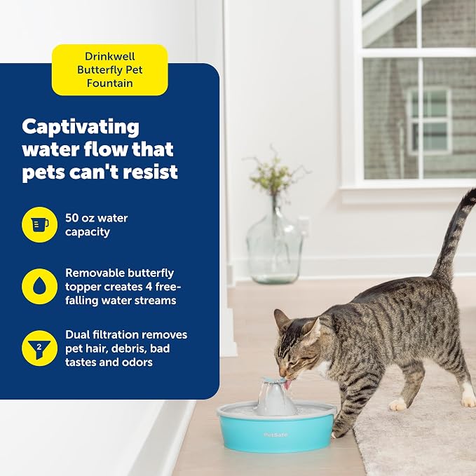 PetSafe Butterfly Cat Water Fountain, Pump & Filters, 50 oz Capacity | Butterfly Topper Creates 4 Water Streams, Replaceable Carbon and Foam Filter Keep Water Fresh and Clean