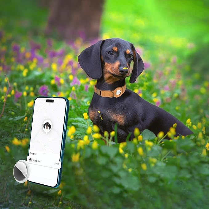 AirTag Dog Collar - Genuine Leather Dog Collar with Apple AirTag Holder and Metal Buckle - Smart GPS Tracking Pet Collars (Light Brown, S, 12"-15" Neck Fit)