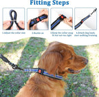 Mayerzon Martingale Collar No Pull for Small Medium Large Dogs | Black, L | Reflective, Patented Anti Pulling Dog Collar for Walking Training, Buckle, Adjustable, Safe for Night Walks, 2.5mm Links