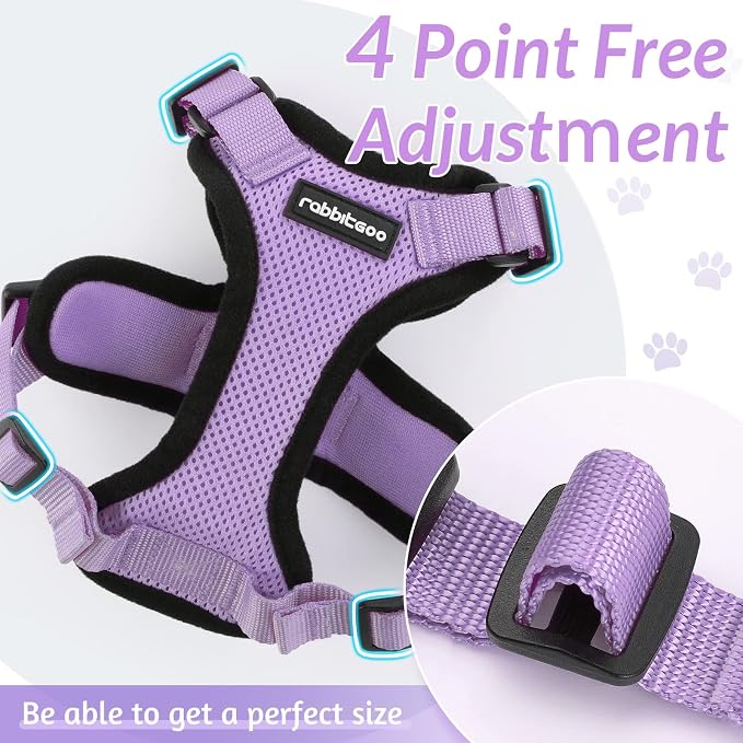 rabbitgoo Cat Harness and Leash Set, Escape Proof Vest, Light Purple | Soft Breathable Mesh, Easy Adjustable Fit, Snap Buckles, Sturdy Clip, Reflective Strips, for Small & Average Cats Walks, Xs