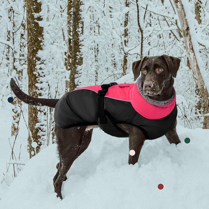 IECOii Extra Warm Dog Coat - Reflective Jacket with Fleece Turtleneck for Cold Weather - Soft Winter Coat for Small to Extra Large Dogs