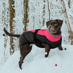 IECOii Extra Warm Fleece Dog Jacket with Buckle - Reflective Turtleneck Coat for Cold Weather - Small to Extra Large Dogs