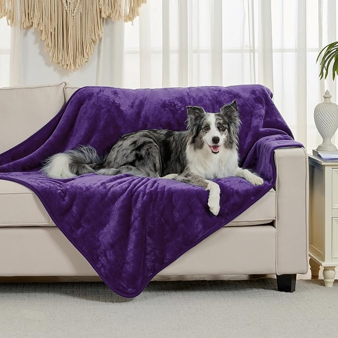 Soft Waterproof Blanket for Bed Couch Sofa, Dark Purple, 50x60inches | Liquid Pee Proof Pet Blanket for Dog Puppy Cat, Reversible Sherpa Fleece Blanket for Couch Cover, Furniture Protector