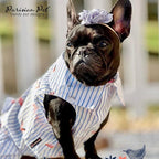 Parisian Pet Flamingo Dog Dress - Summer Clothes for Small Dogs Girl - Stylish Pet Dress - Comfortable Sleeveless Dog Outfits - Lightweight and Breathable Puppy Clothes - Dresses for Dogs