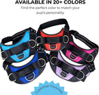 ShawnCo Essential Dog Harness, No-Pull Pet Vest with 3 Leash Clips, No Choke, Reflective, Adjustable and Padded, for Easy Walking and Training for Small, Medium and Large Dogs (Military Camo, L)
