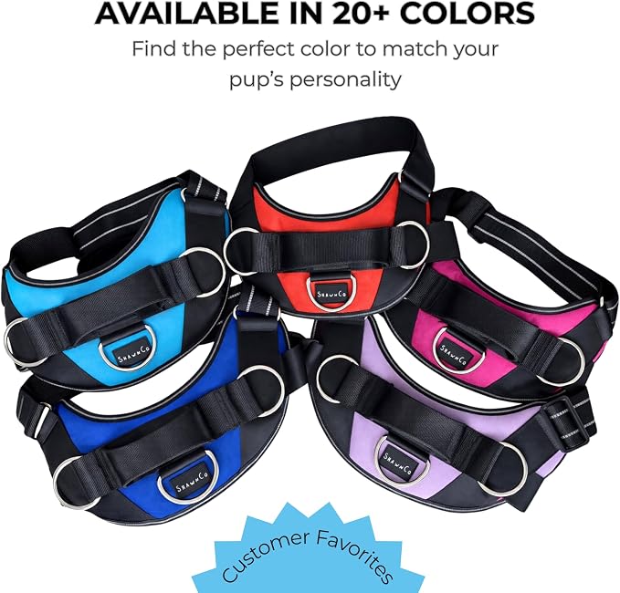 ShawnCo Essential Dog Harness, No-Pull Pet Vest with 3 Leash Clips, No Choke, Reflective, Adjustable and Padded, for Easy Walking and Training for Small, Medium and Large Dogs (Electric Blue,M)