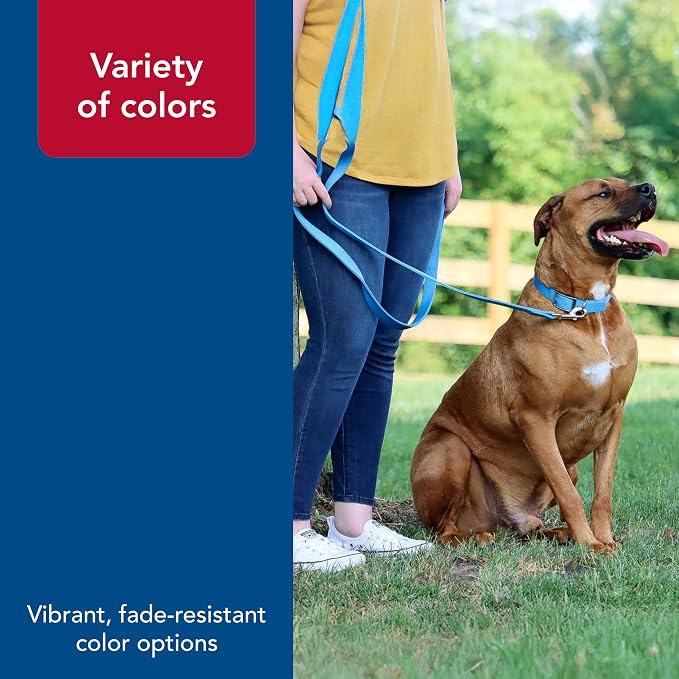Coastal Pet Double-Ply Dog Leash - Bolt Snap Attachment to Collars and Harnesses - Nylon Dog Walking Leash for Small, Medium and Large Dogs - Purple - 1" x 6'