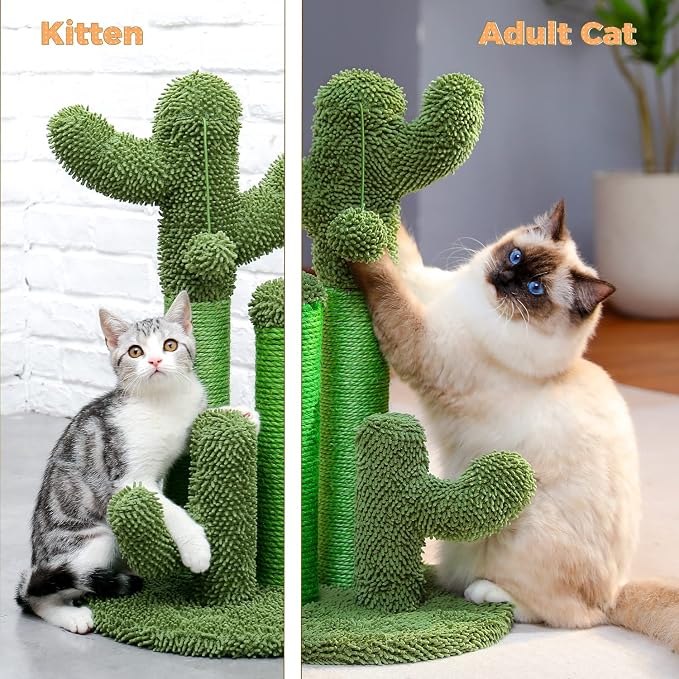 PAWZ Road Cat Scratching Post 23” Cactus Cat Scratcher with Toy Ball | Cactus Cat tree with 3 Sisal & Carpet Scratching Posts, Soft Carpet Base & Top, Interactive Ball for Indoor Cats