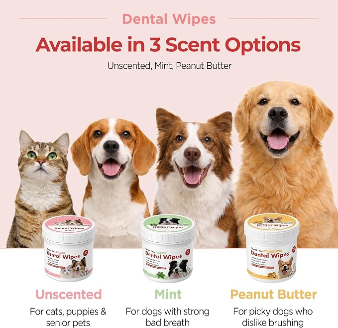 JAYU PET Mint Scent Dental Finger Wipes for Dogs, 50 Count | No-Rinse, Dual-Finger, Oral Care, Teeth Cleaning