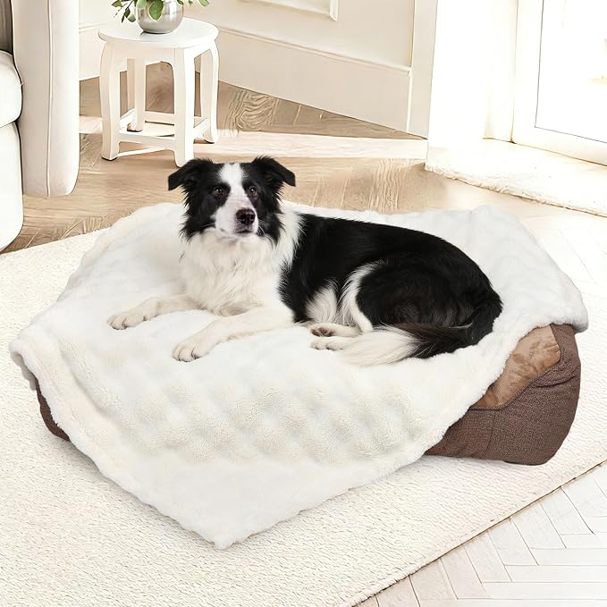 Dog Blankets Washable Pet Blanket - Fluffy Fuzzy Cat Puppy Blanket with Premium 300GSM 3D Fleece Bubble for Pet Kitten Doggy, Cream, 30x40IN