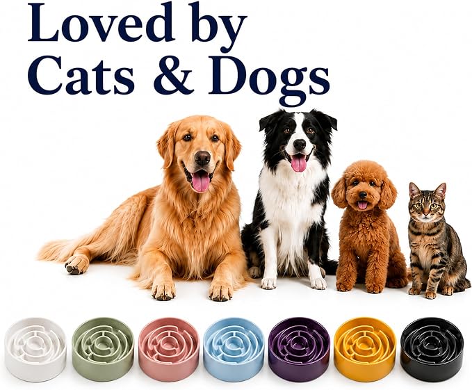 Ceramic Slow Feeder Dog Bowl 1.5 Cup Puzzle Dish for Small Medium Dogs | Glazed ceramic maze bowl with 1.5-cup capacity for dry or wet food, sized for small and medium dogs