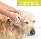 Dog Shampoo – Cleansing Wash, Conditioning, Moisturizing – Healthy Ingredients – Aromatic Grooming Puppy Shampoo – Tearless Cleaner, Lemongrass Vanilla Bean 13.5 oz