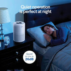 Clorox Small Room Turbo Air Purifiers for Home With True HEPA Filter | 613 Sq Ft | Reduces 99.9% of Mold, Viruses, Wildfire Smoke, Allergens, Pet Allergies, Dust | Whisper Quiet