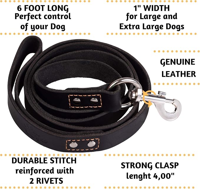 ADITYNA Black Leather Dog Leash for Large & Extra-Large Dogs, 6ft x 1" | Soft yet strong leather leash for walking, training, hiking — great for Great Dane, Rottweiler, Cane Corso, Mastiff.
