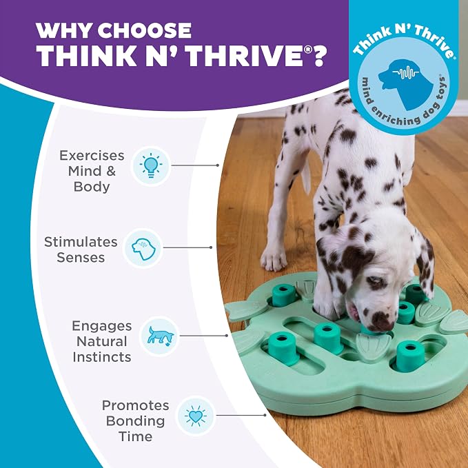 Outward Hound by Nina Ottosson Puppy Treat Puzzle Enrichment Dog Toy