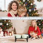 Ceramic Elevated Dog Bowl Set - Dog Feeder Station with Cute-Style Double Bowls for Small and Medium Size Breed - Non-Slip Raised Dish for Food and Water Feeding- 6 Inch - 3.5 Cups / 20 fl oz - Green