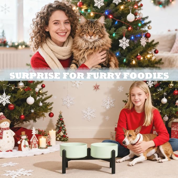 Ceramic Elevated Dog Bowl Set - Dog Feeder Station with Cute-Style Double Bowls for Small and Medium Size Breed - Non-Slip Raised Dish for Food and Water Feeding- 6 Inch - 3.5 Cups / 20 fl oz - Green