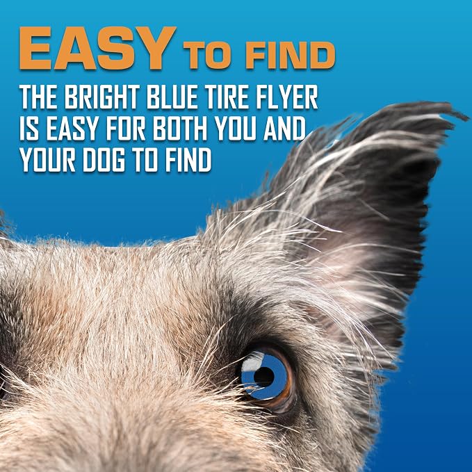 Nerf Dog Tire Flyer Outdoor Dog Toy, 10 Inch Flying Disc Dog Fetch Toy, Rubber Dog Toy for Medium Dogs and Large Dogs, Blue