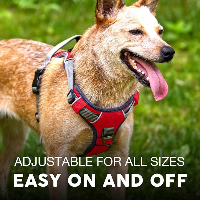 Embark Adventure Large Dog Harness – No-Pull, Reflective Trim, Military-Grade Nylon, Front Clip with Gel-Lined Handle