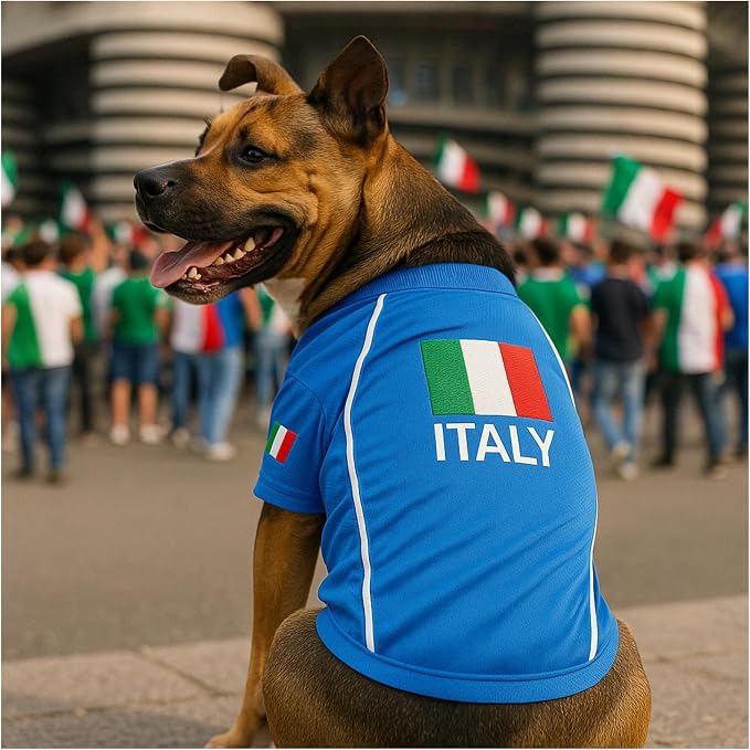 Parisian Pet Italy Dog Jersey - Breathable Mesh Puppy Football Jersey - Stretch Sporty Dog Clothes - Summer Shirts for Large Dogs - Soccer Jersey for Dogs - Sportswear Pet Clothes - Team Italy Apparel