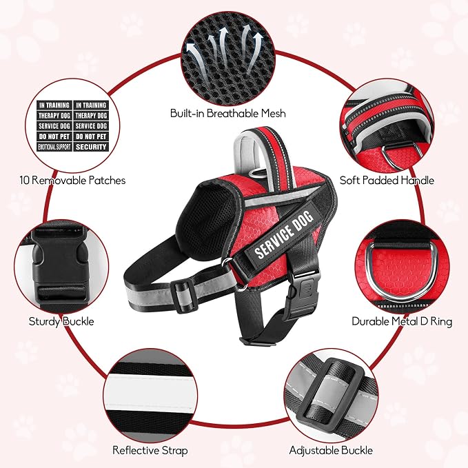 Service Dog Vest Harness and Leash Set, Animire in Training Dog Harness with 10 Dog Patches, Reflective Dog Leash with Soft Padded Handle for Small, Medium, Large, and Extra-Large Dogs (RED,L)