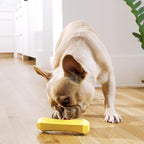 Playology Dog Toys | Squeaky Chew Stick for Dogs, Value 2-Pack | Chicken Scented Medium Fetch Toy | Squeaky Dog Chew Toy
