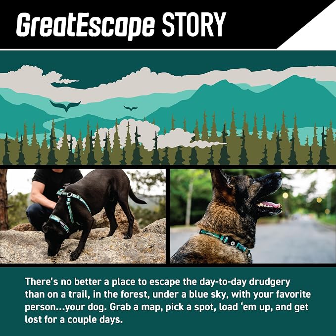 GreatEscape Dog Leash 1" x6'
