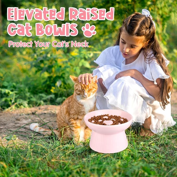 Tioncy 2 Pcs Ceramic Elevated Slow Feeder Cat Bowl, Raised Cat Slow Feeder Bowl, Anti Vomiting for Dry and Wet Food, No Spill High Edge Easy Clean Dishwasher Safe (Pink,Dark Green)