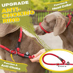 Fida Durable Slip Lead Bulk Pack of 5, Heavy Duty 1/2" x 6 FT Comfortable Strong Rope Slip Lead for Large, Medium & Small Dogs No Pulling Pet Training Leash with Highly Reflective Red