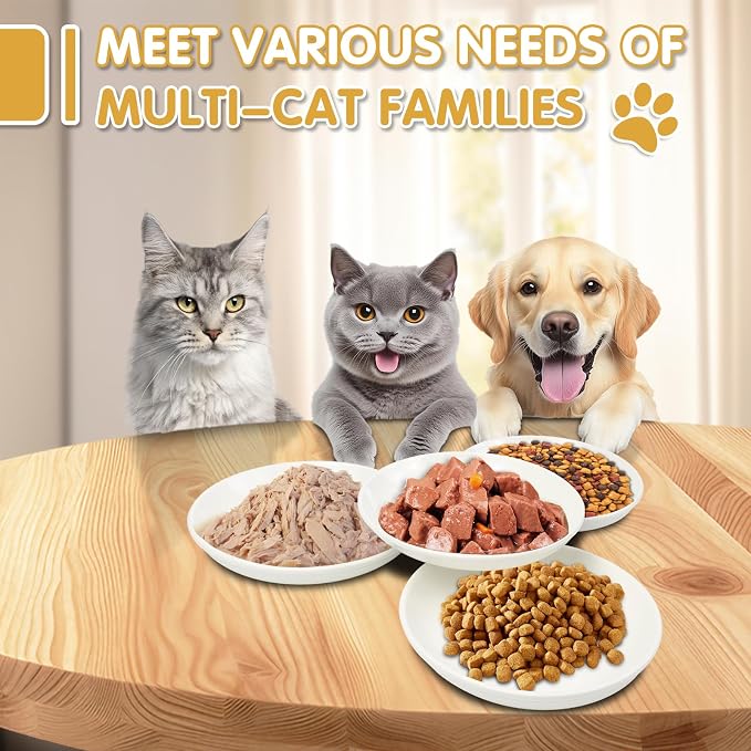 6 Pack Cat Food Bowl, Ceramic Cat Bowls, Anti Whisker Fatigue Cats Bowl Set | 5.5 Inches Shallow Wide Kitten Plates for Food and Water (White-C)
